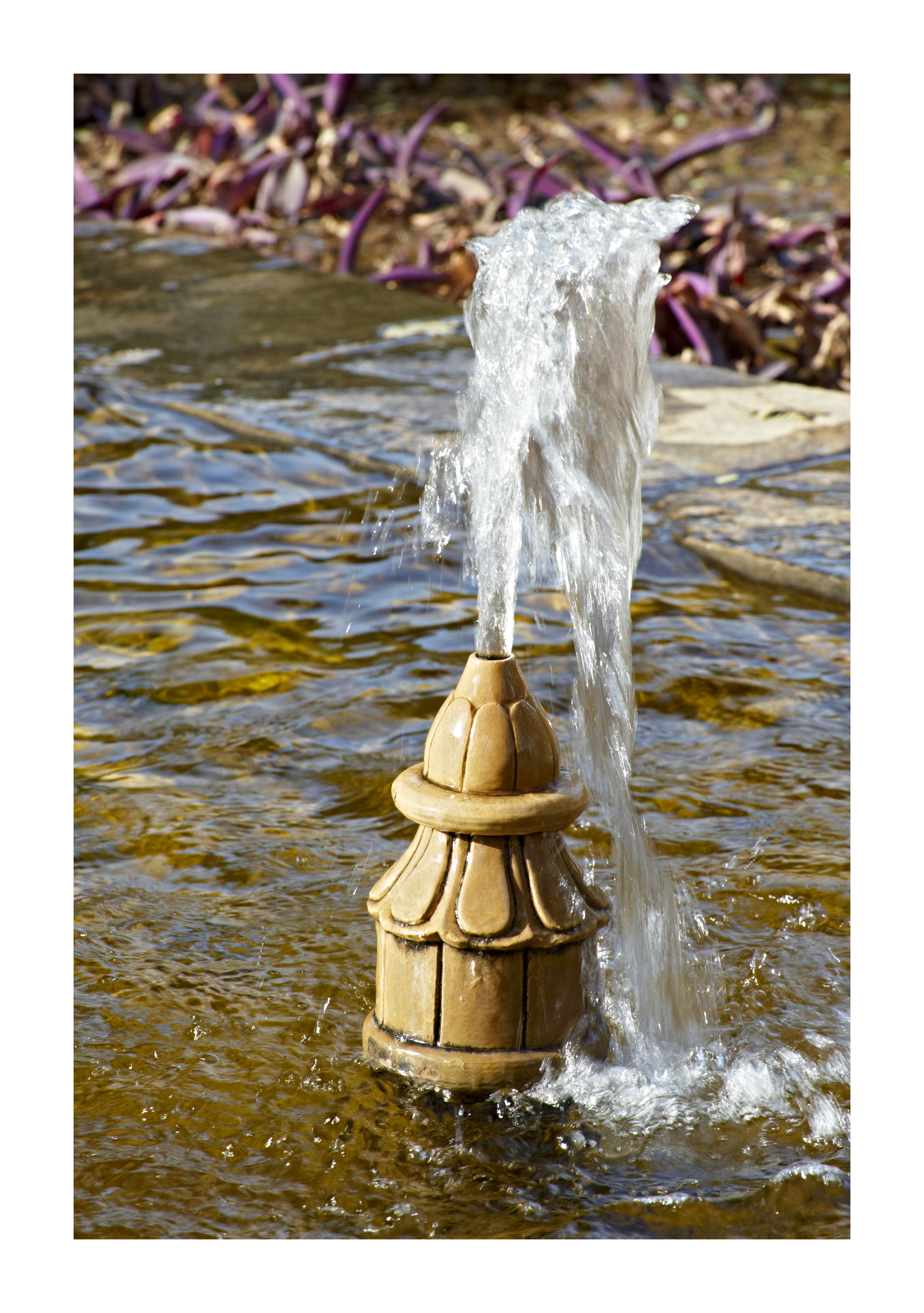 Image from Samode Bagh